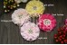 Parisian Chiffon Flower (8cm), Pack of 2